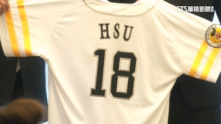 徐若熙披軟銀鷹王牌「18號」　球團表態：放行打WBC