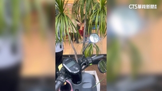 高雄婦理賠談不攏突亮利器　員工「反鎖」疏散人群