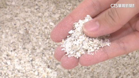 華麗轉身！終結廢棄牡蠣殼污染　再生為新興材料