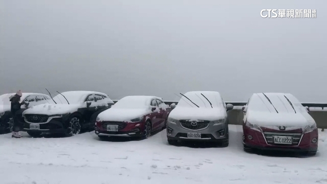 冷氣團發威！合歡山「積雪逾9公分」　遊客嗨玩雪