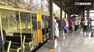 太平山回溫降雨！　鳩之澤溫泉.蹦蹦車站仍湧人潮