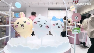 寶可夢.吉伊卡哇紛推限量商品　代購瘋傳難辨真假