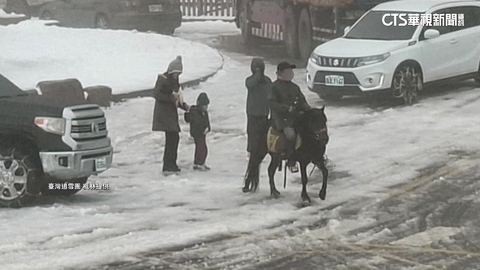 不怕塞！男騎「迷你馬」上合歡山追雪　警開罰6百