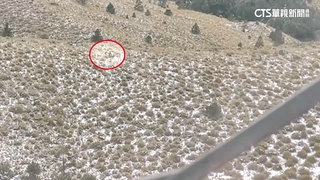 登雪山2人失溫喪命！　「缺糧裝備濕」黑鷹救出4人