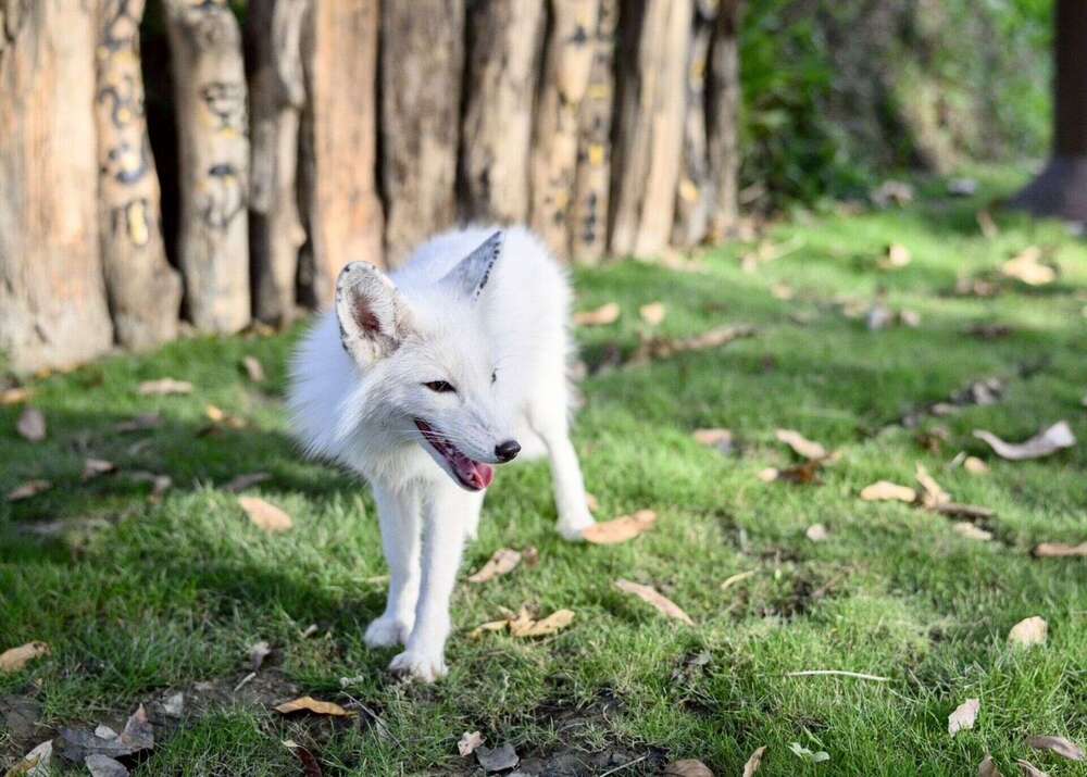 圖 / 高雄市觀光局