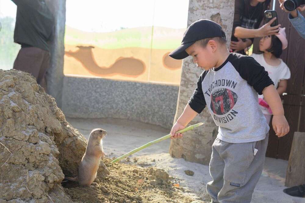 圖 / 高雄市觀光局