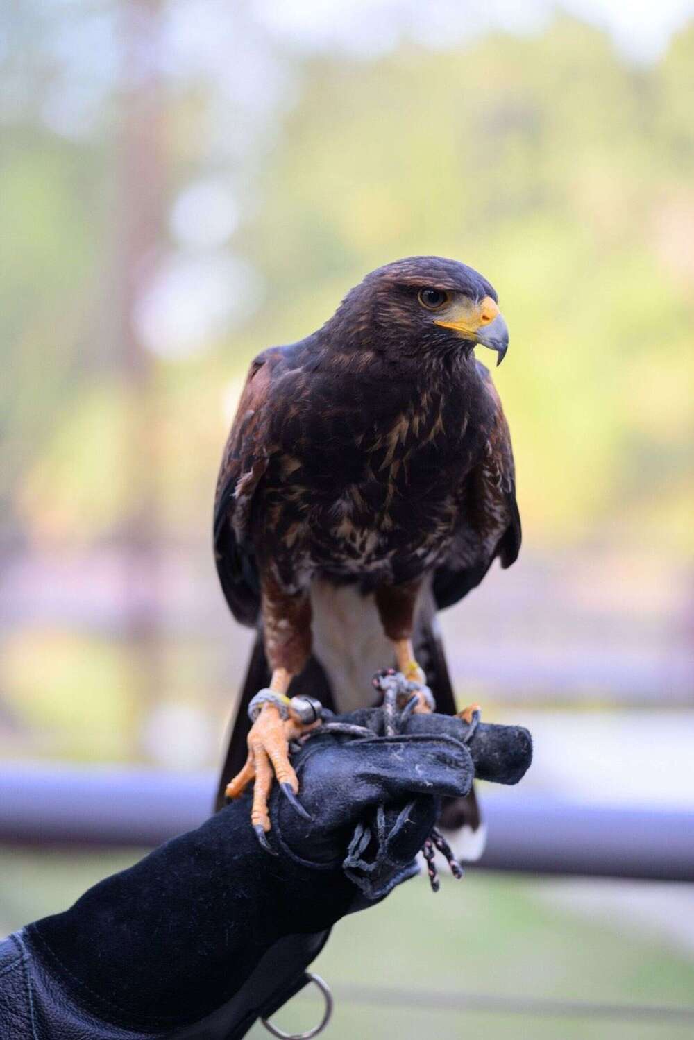 圖 / 高雄市觀光局