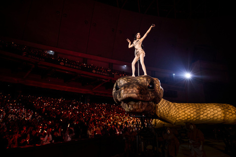 蔡依林演唱會「站起來」引歌迷爭吵　小禎目睹嘆：真的好兩難呀