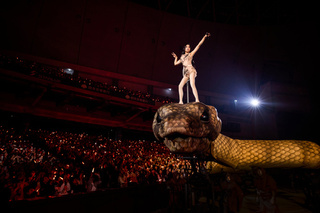 蔡依林演唱會「站起來」引歌迷爭吵　小禎目睹嘆：真的好兩難呀