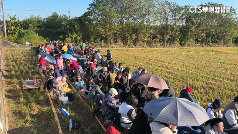 【台語新聞】南投紫南宮元旦發馬年錢母　排隊人龍1公里