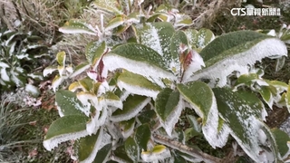 雲霧繚繞！　遊客搭「蹦蹦車」賞濃霧仙境.看霧淞美景
