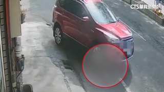 疑似蹲下逗狗遭休旅車輾過！　狗死.44歲婦重傷