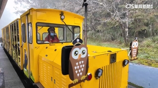 雲霧繚繞！　遊客搭「蹦蹦車」賞濃霧仙境.看霧淞美景