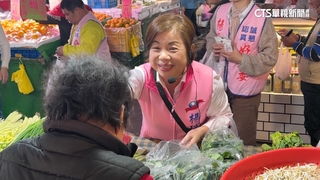 楊瓊瓔掃市場　何欣純跑宮廟　藍綠搶攻本命區隔空較勁