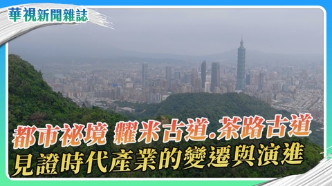 台北古道行~糶米古道&茶路古道|華視新聞雜誌