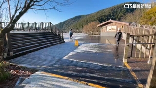 太平山雪停木棧板仍結霜　遊客上山一睹銀白世界