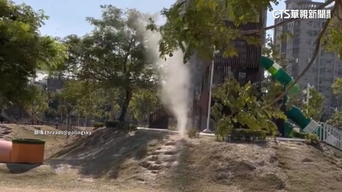 高雄公園驚見「小龍捲」嚇壞童　專家解惑：是小渦旋