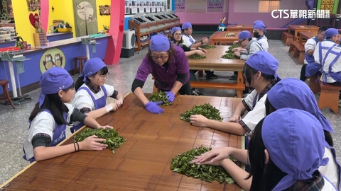 【台語新聞】一日製茶師！　國中生「揉茶體驗」認識紅茶文化