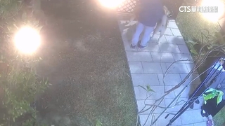 重低音穿腦！狗焦慮踱步.鄰店喊搬　酒吧業者致歉