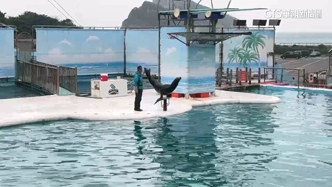 野柳海洋世界爆「囚禁」　海獅.海豹住處不如豬圈