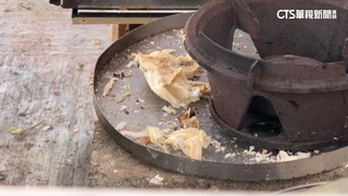 大坑9號步道潤餅攤停業多日　「爐灶留食渣」市府要查