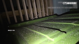 -2.2℃！合歡山入夜降冰霰　武嶺鏡頭君前白茫茫