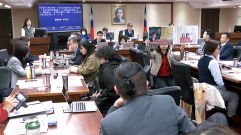 林淑芬嗆「陳九條」問僅有9條保障夠嗎? 陳昭姿舉牌回應「正副總統都支持代孕」