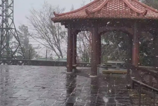 睽違8年　阿里山今日上午短暫飄雪