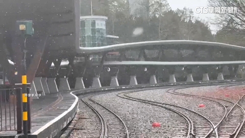 時隔8年！　阿里山清晨飄雪　民眾熱血上山追雪