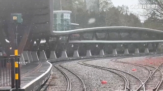 時隔8年！　阿里山清晨飄雪　民眾熱血上山追雪