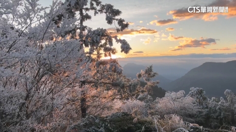 夢幻！　太平山低溫0度結霧淞　日出時刻美不勝收