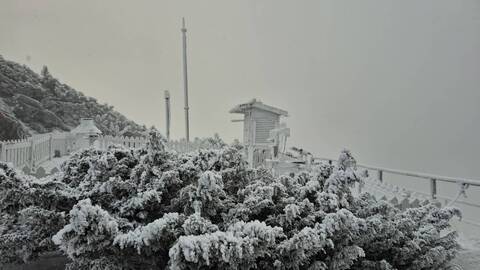 玉山降雪了！「積雪1公分」美景曝光　置身銀白世界