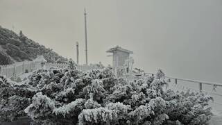 玉山降雪了！「積雪1公分」美景曝光　置身銀白世界