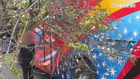 遊覽車司機作勢「折枝開路」　違闖梅園進退兩難