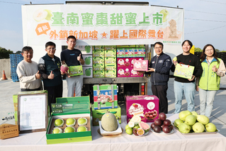 台南蜜棗首銷新加坡　黃偉哲力推冬季優質水果拓國際市場