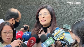 傳藍新北市長「不初選.走協調」　鄭麗文：人選年前出爐