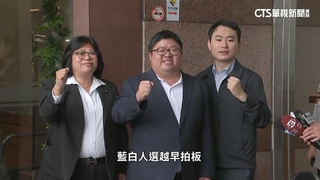 綠營嘉義縣長初選民調　蔡易餘壓倒性勝出