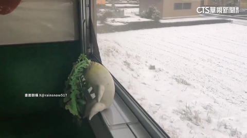 「沉思蘿蔔」陪搭車！　日「食品模型列車」吸1600萬人次瀏覽