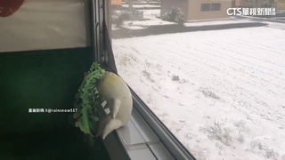 「沉思蘿蔔」陪搭車！　日「食品模型列車」吸1600萬人次瀏覽