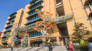 台中榮總認廠商進手術室「無執刀」　衛福部：最高罰50萬