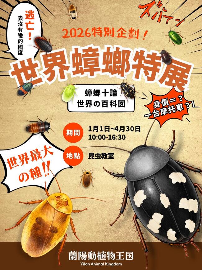 宜蘭親子農場推「世界蟑螂特展」　網嚇瘋：到底誰要去 | 華視新聞