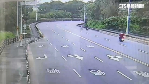 蘇澳5猴亂入馬路！　女騎士急閃撞猴「人重摔滑行」