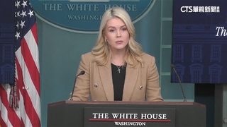 ICE頻傳執法過當　白宮發言人開嗆記者：偏見.左翼