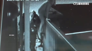 台中打手訓練基地械鬥1死6傷　3殺人犯棄保潛逃