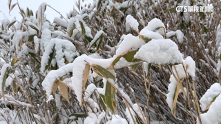 解鎖雪國新玩法！　深度體驗冬季日本北海道