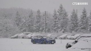 遊日注意！日氣象廳警告　未來五天恐下「警報級大雪」