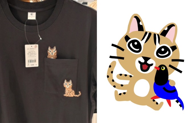 NET爆侵權？衣服圖案神似「石虎抱抱」　貼圖作者：未授權 | 華視新聞