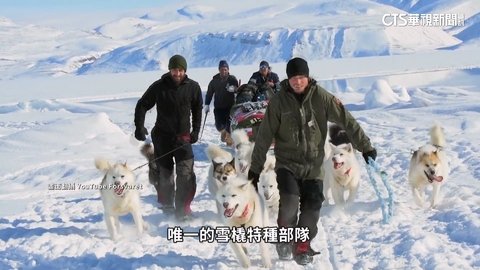 川普酸「狗拉雪橇」部隊　實為丹麥「精銳中精銳」特種部隊