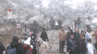 冷氣團發威！合歡山急凍下冰霰　銀白世界超夢幻