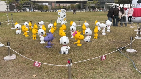史努比進駐公園吸睛！　民眾搶拍美照批「落差大」